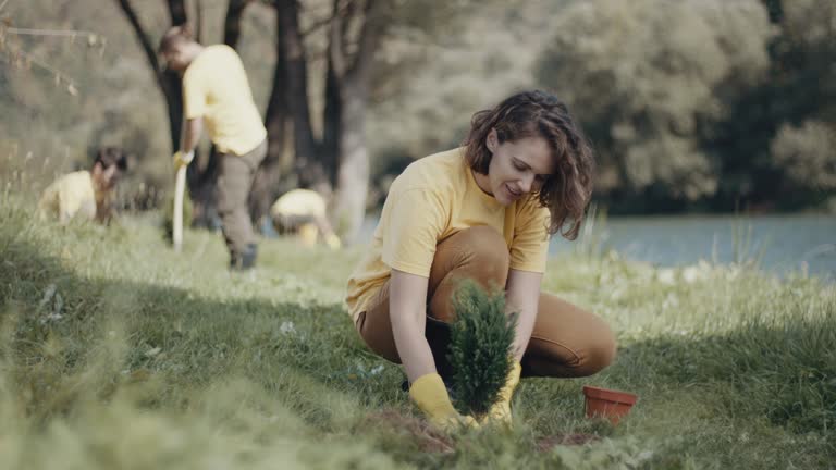 Best Lawn Irrigation Installation and Maintenance  in Bound Brook, NJ