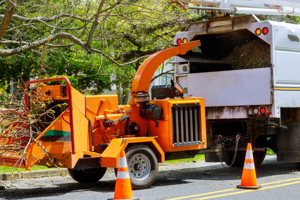 Lawn Maintenance Plans in Bound Brook, NJ