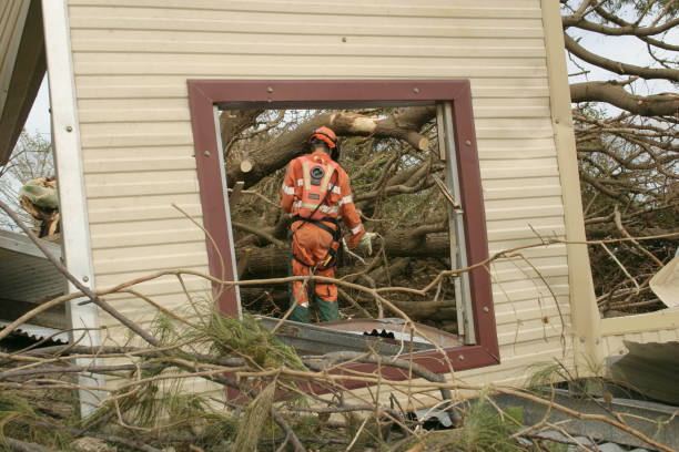 Best Hazardous Tree Removal  in Bound Brook, NJ