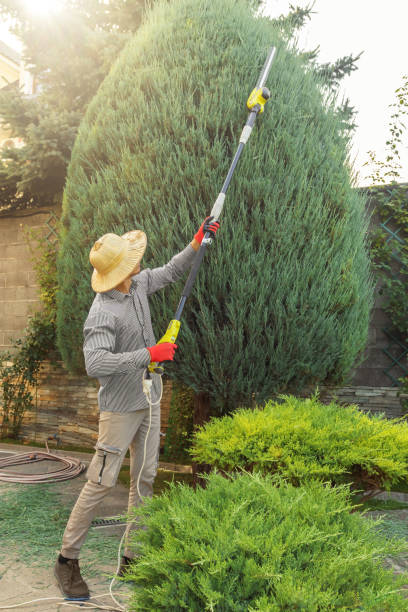 Mulching Services in Bound Brook, NJ